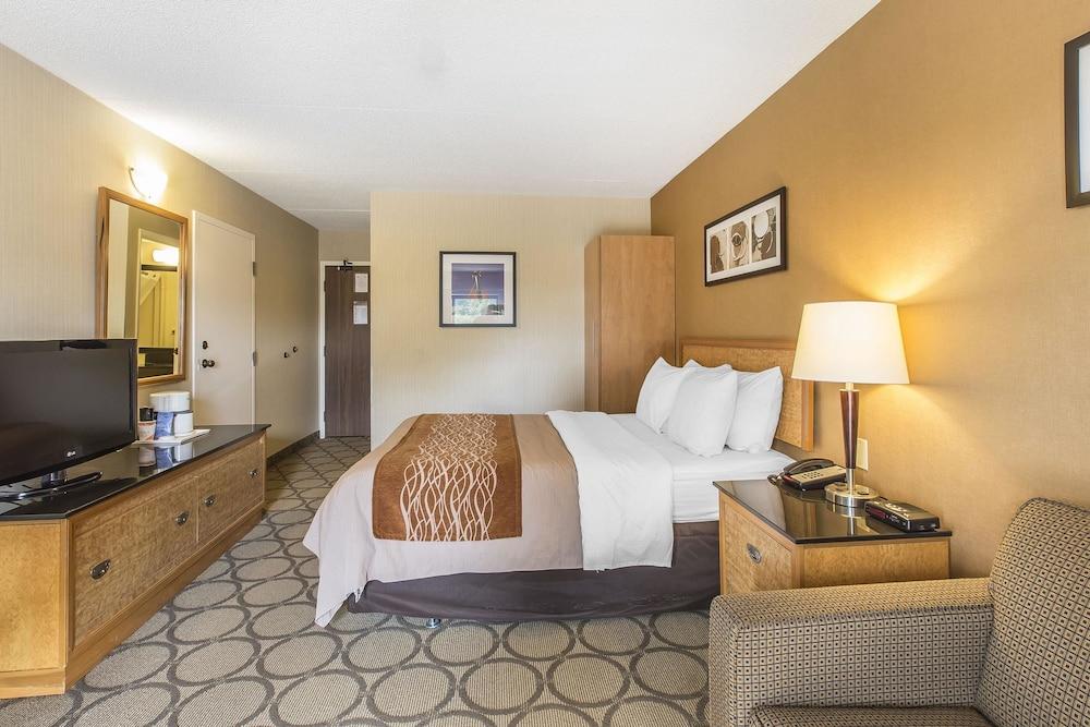 Comfort Inn Sydney Bagian luar foto